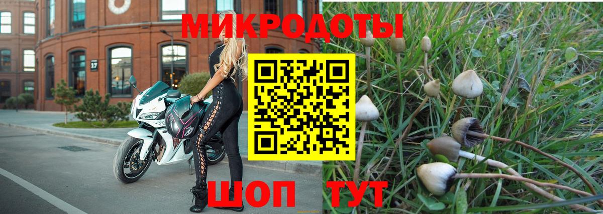 Славгород  сколько стоит  Вход с VPN  Псилоцибиновые грибы Psilocybine cubensis 